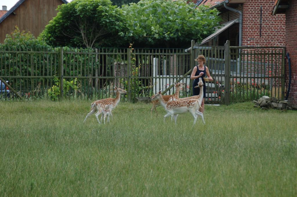 B&B De Rentmeesterhoeve Reningelst 외부 사진