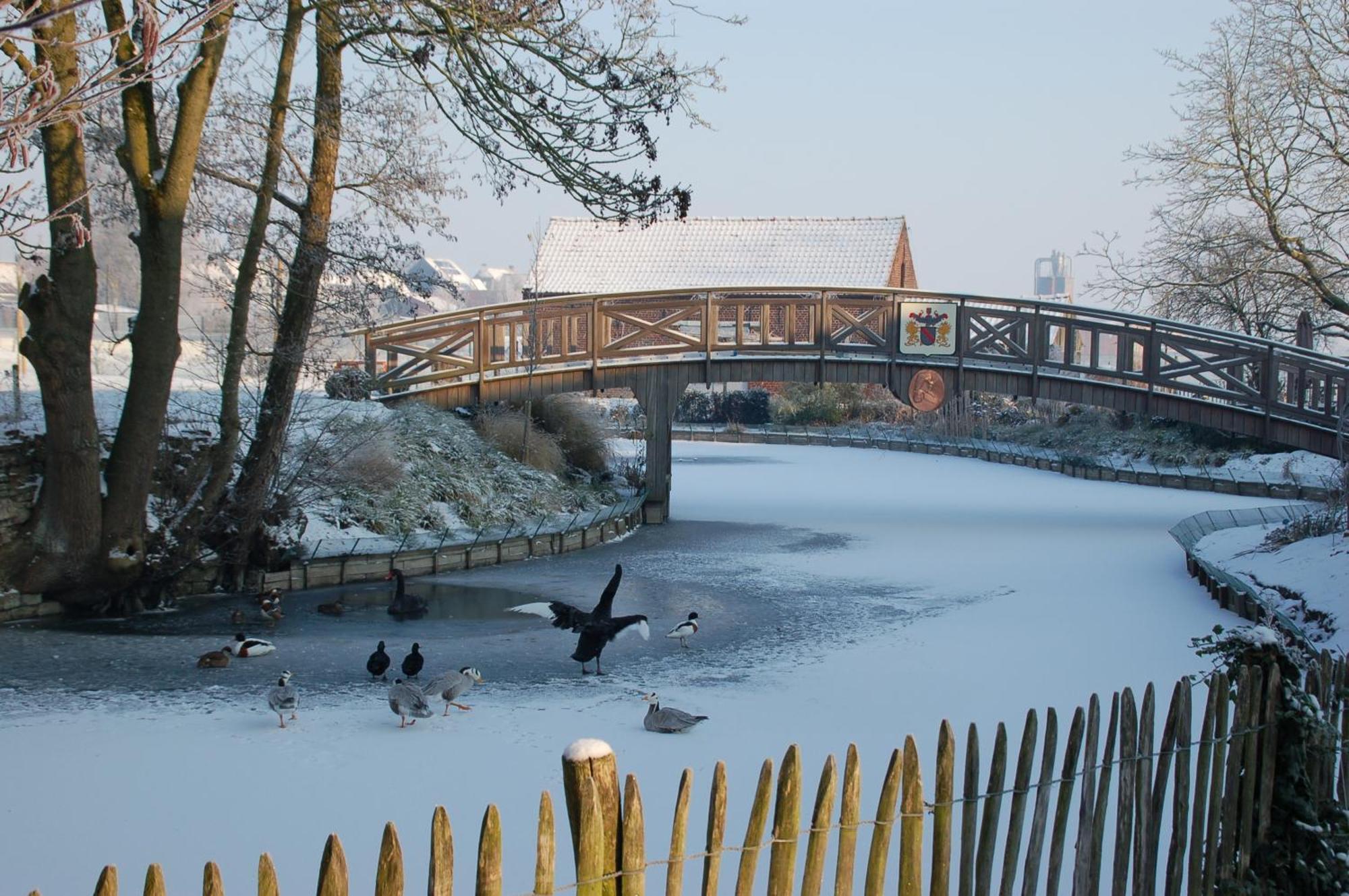 B&B De Rentmeesterhoeve Reningelst 외부 사진